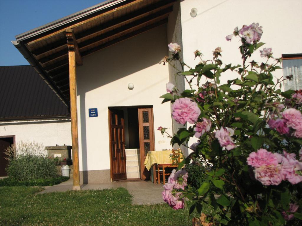 Donji Babin PotokHouse Nada公寓 外观 照片