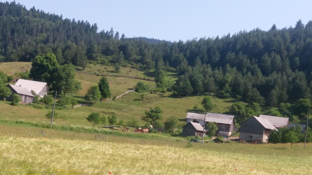 Donji Babin PotokHouse Nada公寓 外观 照片